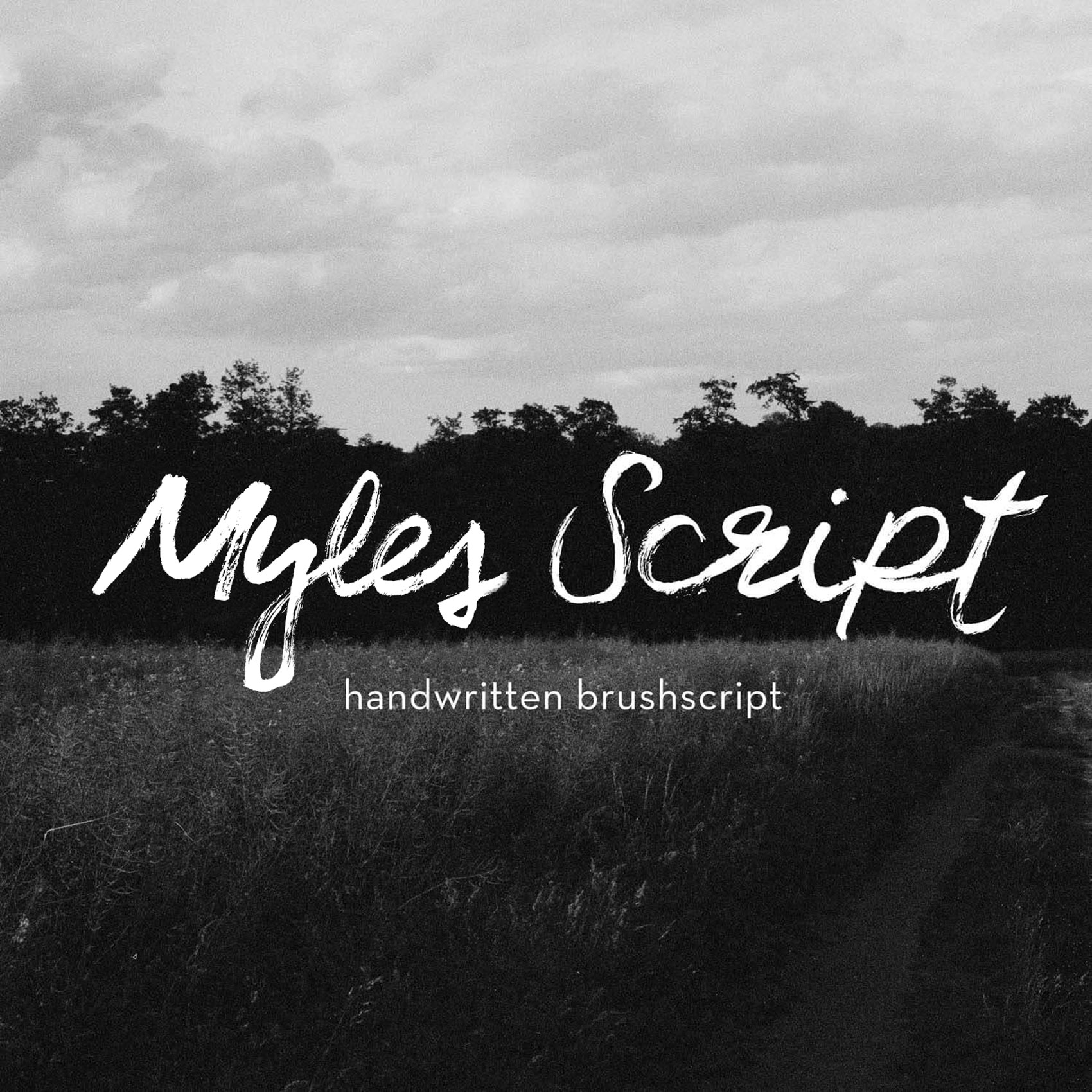 Featured image for “Myles Script”